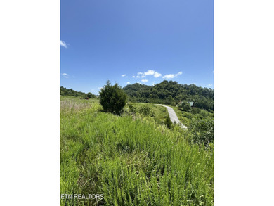 Don't miss this gorgeous lakeview lot ready to build your dream - photo 23