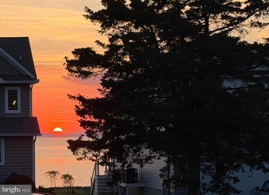 WELCOME to the Eastern Shore -- This charming Nantucket style - photo 23