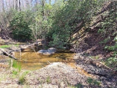 Moonlight Bay on Lake Keowee - Lots 48 -.92 acres An exceptional - photo 29