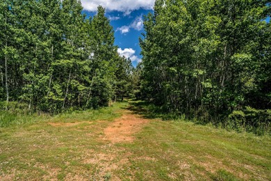 Lake Acreage For Sale in Schuyler, Virginia