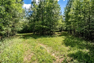Lake Acreage For Sale in Schuyler, Virginia