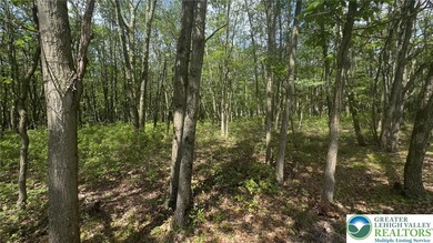 Indian Mountain Lakes Lot For Sale in Penn Forest Twp Pennsylvania