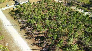 0.50-acre vacant lot on Portulaca Dr in Indian Lake Estates, FL - photo 4