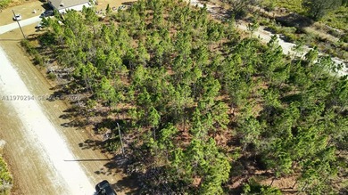 0.50-acre vacant lot on Portulaca Dr in Indian Lake Estates, FL - photo 5