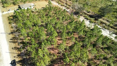 0.50-acre vacant lot on Portulaca Dr in Indian Lake Estates, FL - photo 6