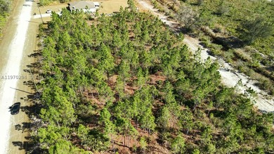 0.50-acre vacant lot on Portulaca Dr in Indian Lake Estates, FL - photo 7