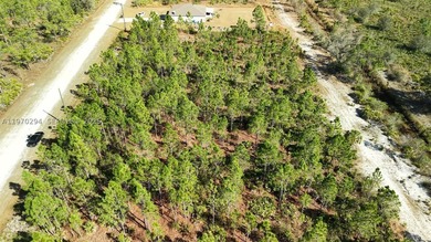 0.50-acre vacant lot on Portulaca Dr in Indian Lake Estates, FL - photo 8