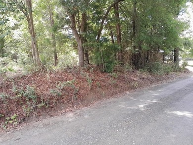 (private lake, pond, creek) Lot For Sale in Pineville South Carolina