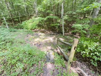 Charming 3-Bed, 3-Bath Cabin in Lake Cumberland Resort! A MUST - photo 11