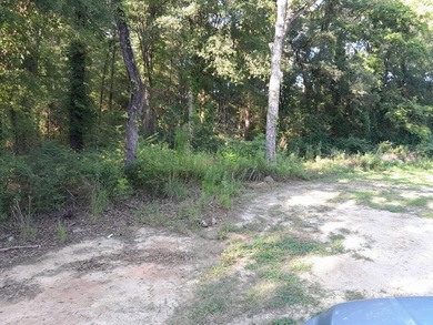 Lake Marion Acreage For Sale in Pineville South Carolina