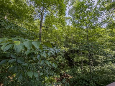 Charming 3-Bed, 3-Bath Cabin in Lake Cumberland Resort! A MUST - photo 12