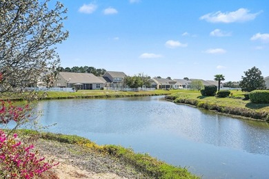Spacious 4BR, Bonus room 12x12, 2.5BA at the end of Cul De Sac - photo 24