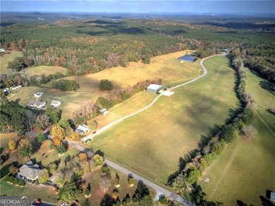 Welcome to a truly one-of-a-kind opportunity in the heart of - photo 7