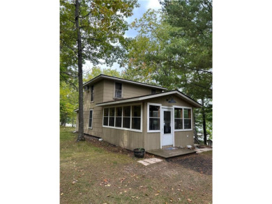 Lake Home For Sale in Bay Lake Twp, Minnesota