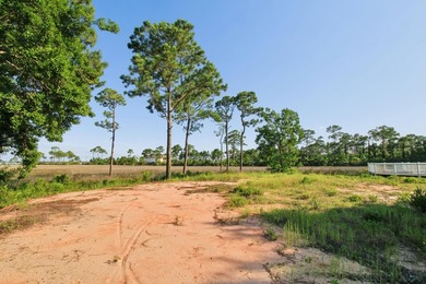 Build Your Dream Home with Stunning Water Views! This .37-acre - photo 11