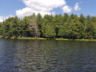 RARE FIND! Cisco Chain vacant waterfront parcel on the - photo 11
