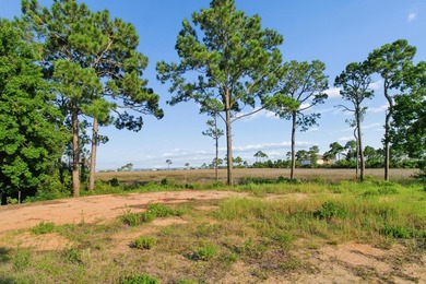 Build Your Dream Home with Stunning Water Views! This .37-acre - photo 12
