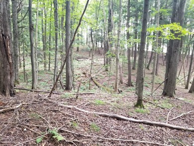 RARE FIND! Cisco Chain vacant waterfront parcel on the - photo 12