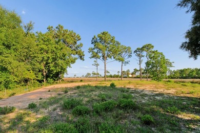 Build Your Dream Home with Stunning Water Views! This .37-acre - photo 13