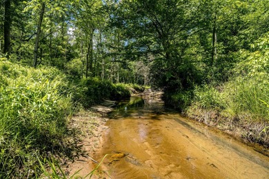 Lake Acreage For Sale in Schuyler, Virginia