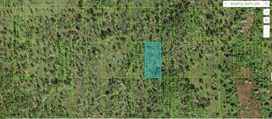 Lake Kissimmee Lot For Sale in Lake Wales Florida