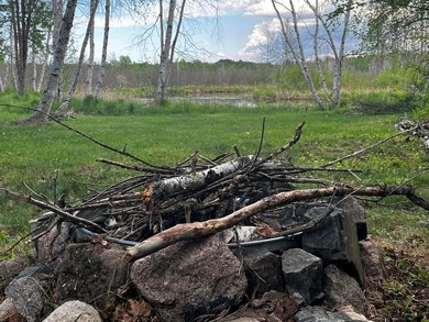 Welcome to C17 Lot 51 at Pathfinder Village! A rare riverfront - photo 11