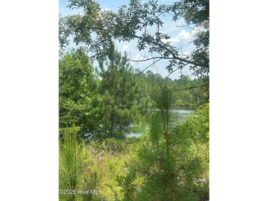 Lake Lot For Sale in Cameron, North Carolina