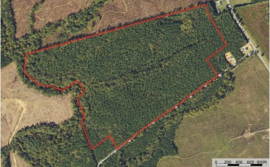 Lake Lot For Sale in Lawrenceville, Virginia