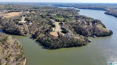 Rare opportunity to have this much water frontage on Lake - photo 11