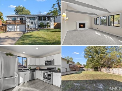 (private lake, pond, creek) Home For Sale in St Peters Missouri