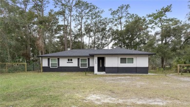 Lake Home For Sale in Lake Helen, Florida