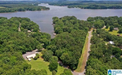 Lake Acreage For Sale in Shelby, Alabama