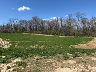 (private lake, pond, creek) Lot For Sale in Edwardsville Illinois