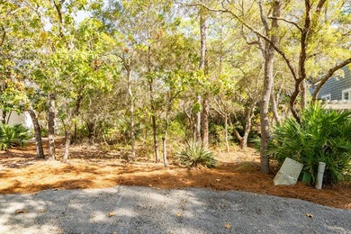 Tucked inside the gated and highly coveted Hammocks of Seagrove - photo 48