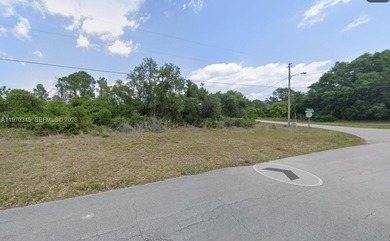 Lake June in Winter Lot For Sale in Lake Placid Florida
