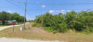 Corner Lot For Sale in Placid Lakes! Build your house on this 0 - photo 2