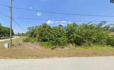 Corner Lot For Sale in Placid Lakes! Build your house on this 0 - photo 8