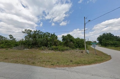 Corner Lot For Sale in Placid Lakes! Build your house on this 0 - photo 9