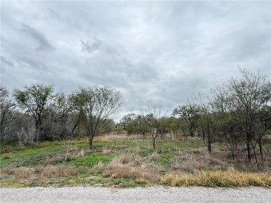 Nueces River - Nueces County Lot For Sale in Robstown Texas