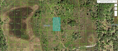 Lake Kissimmee Lot For Sale in Lake Wales Florida