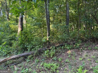 Cartecay River - Gilmer County Lot For Sale in Ellijay Georgia