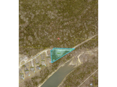 Table Rock Lake Lot For Sale in Reeds Spring Missouri