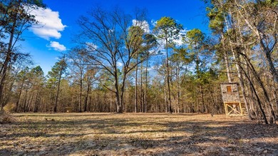 153.85 Acre Turn Key Hunting Property in Taylor County, Georgia - photo 24