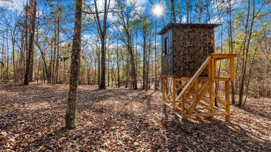 153.85 Acre Turn Key Hunting Property in Taylor County, Georgia - photo 25