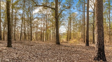 153.85 Acre Turn Key Hunting Property in Taylor County, Georgia - photo 26