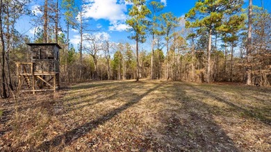 153.85 Acre Turn Key Hunting Property in Taylor County, Georgia - photo 27