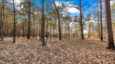 153.85 Acre Turn Key Hunting Property in Taylor County, Georgia - photo 28