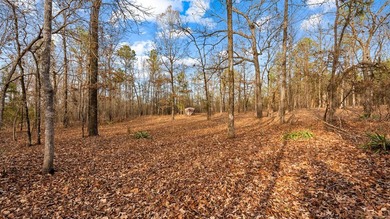 153.85 Acre Turn Key Hunting Property in Taylor County, Georgia - photo 44