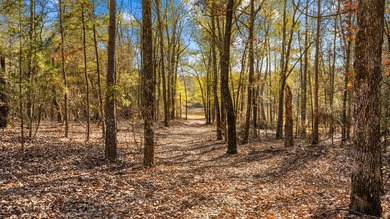 153.85 Acre Turn Key Hunting Property in Taylor County, Georgia - photo 46