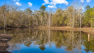 153.85 Acre Turn Key Hunting Property in Taylor County, Georgia - photo 47